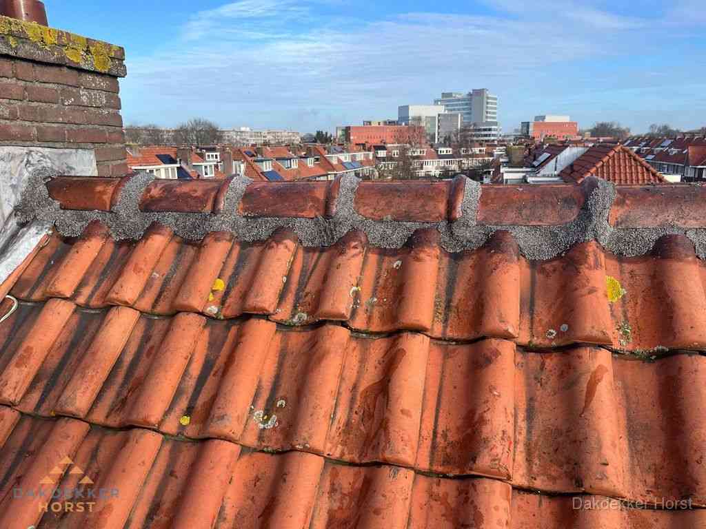Horst Daken Renoveren Horst Daken Renoveren